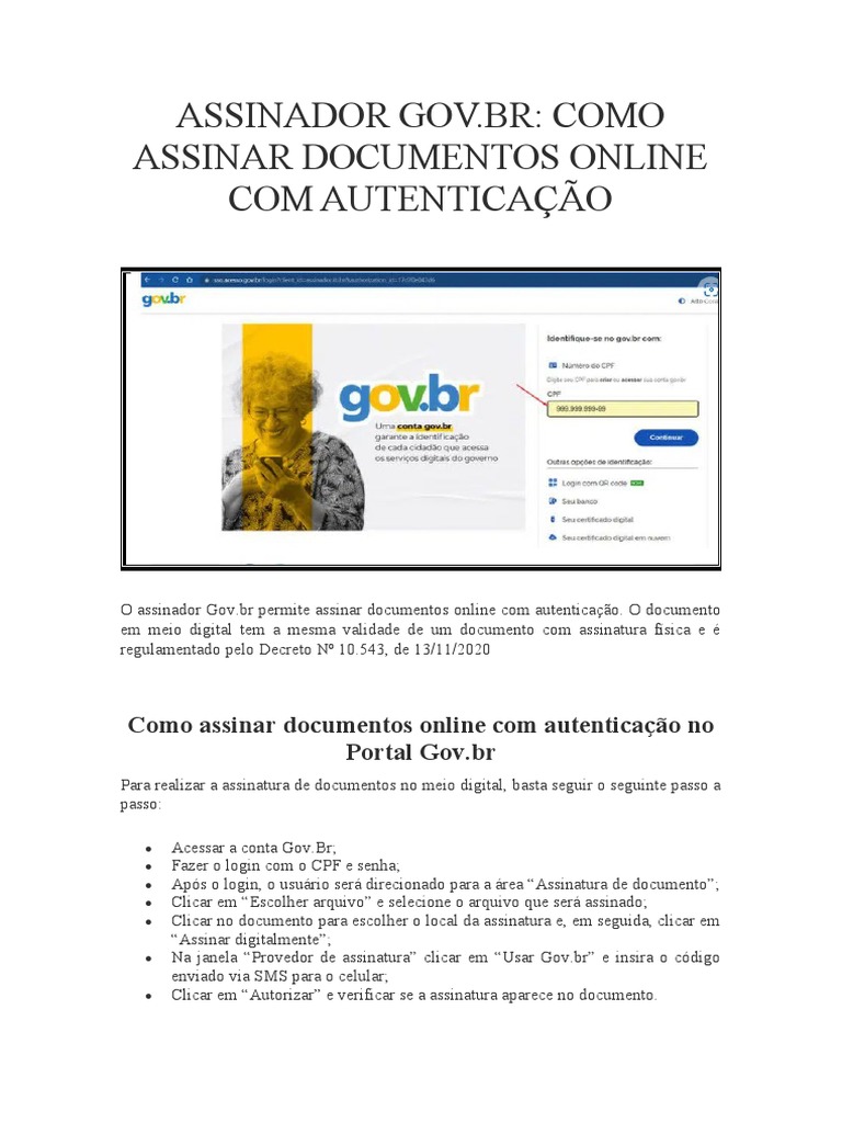 Assinatura Digital no Gov.br: Passo a Passo | PDF