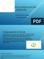 Principios Generales Del Derecho