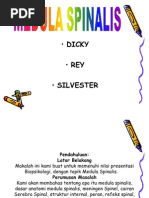 Download Medula Spinalis by yeong21 SN60137029 doc pdf