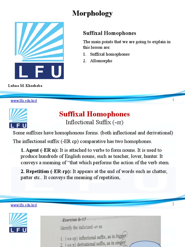 Understanding Suffixal Homophones | PDF | Adjective | Morphology ...