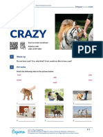 Pet Crazy