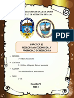 Práctica 12 - Medicina Legal
