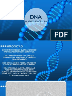 DNA & Divisão Celular (1)