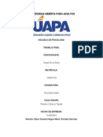 Trabajo Final Neuropsicologia Casos