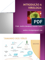Vírus: Características e Ciclo de Replicação