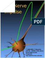 The Nerve Impulse 05