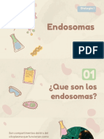 Endosomas