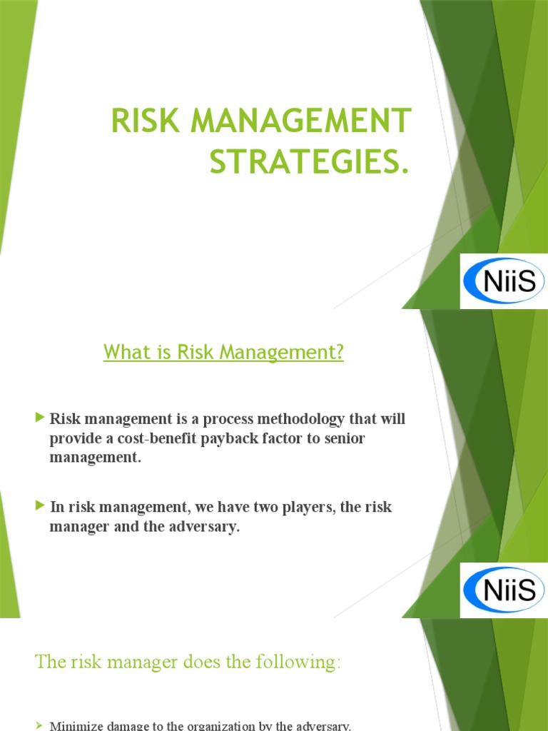 Risk Management Strategies PDF Threat Risk Management