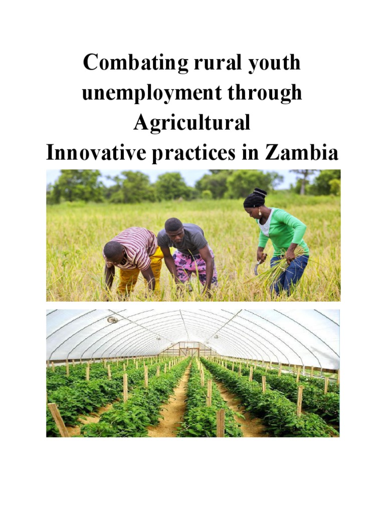 Combating Rural Youth Unemployment Through Agricultural 