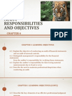 Chapter 6 (Audit Responsibilities and Objectives)