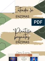 Enzimas