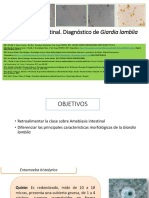 5 Giardia Intestinal Pi22