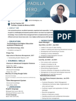 Executive CV - Merged