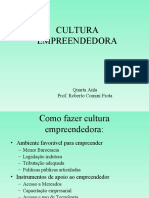 4 Aula Cultura Empreendedora