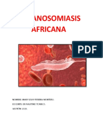 TRIPANOSOMIASIS AFRICANA - AMERICANA