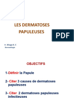 cours B1 papules