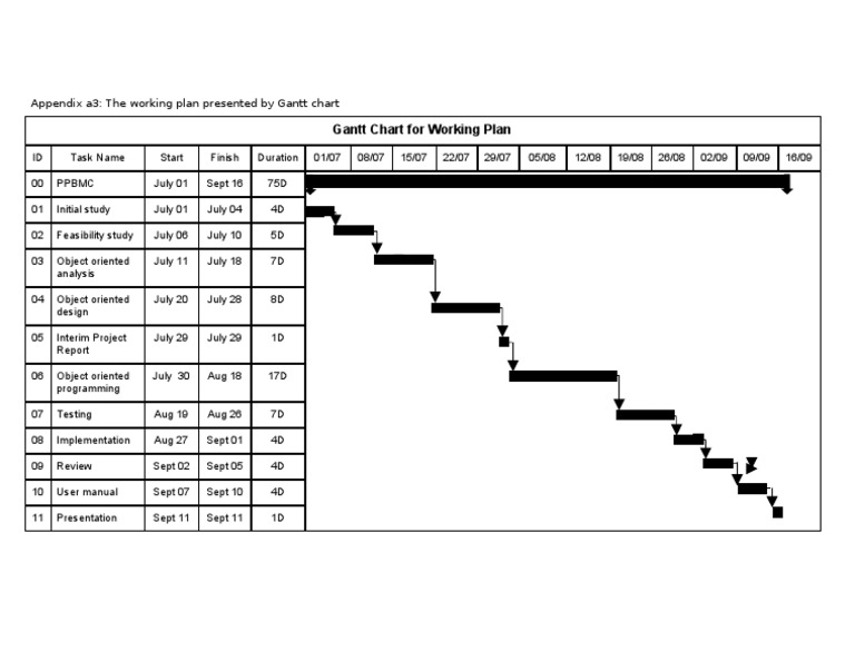 Gantt Chart for Project Timeline | PDF | Technology & Engineering