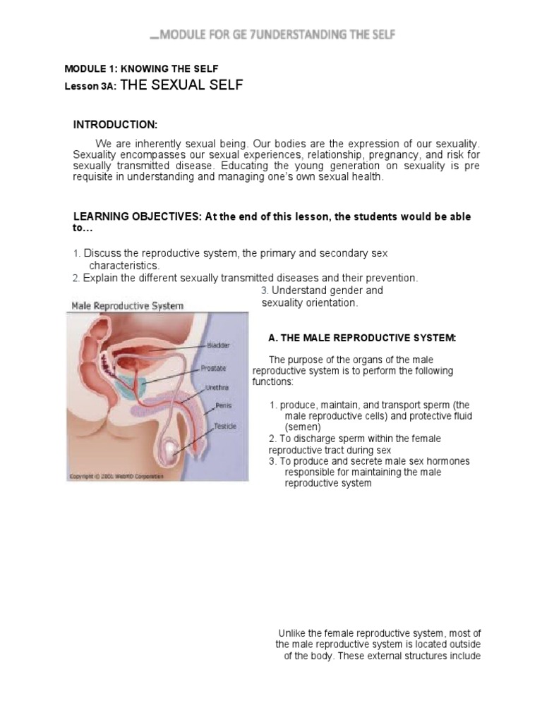 MODULE 1 Lesson 3A The Sexual Self | PDF | Sexually Transmitted ...