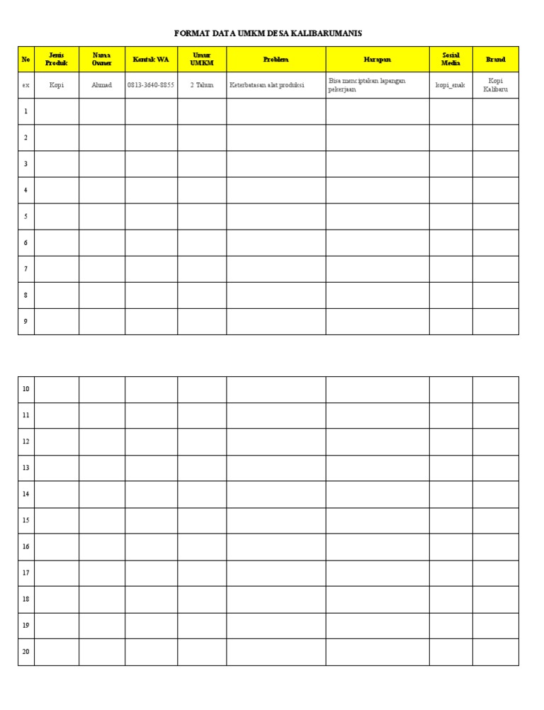 Format Data Umkm Desa Kalibarumanis | PDF