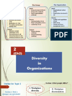 Topic 2 Diversity in Orgs S