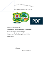 Informe Monografico - Nahil Shuler