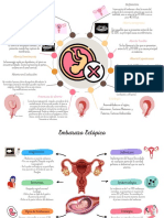 Aborto, Embarazo Ectopico y Mola
