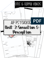 U3 Sensation & Perception Notes AP Psychology - V2