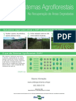 Sistemas Agroflorestais Em Areas Degradadas Embrapa