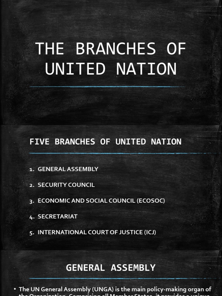 Overview of UN's Five Branches | PDF | United Nations | International ...
