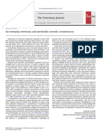 An Emerging Veterinary and Potentially Zoonotic Streptococcus