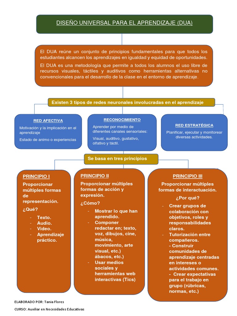 Principios del Diseño Universal del Aprendizaje | PDF | Aprendizaje ...