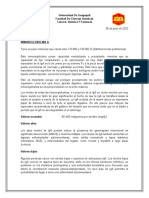 Inmunoglobulinas A, G, M, E y D: Funciones, Valores Normales y Anormales