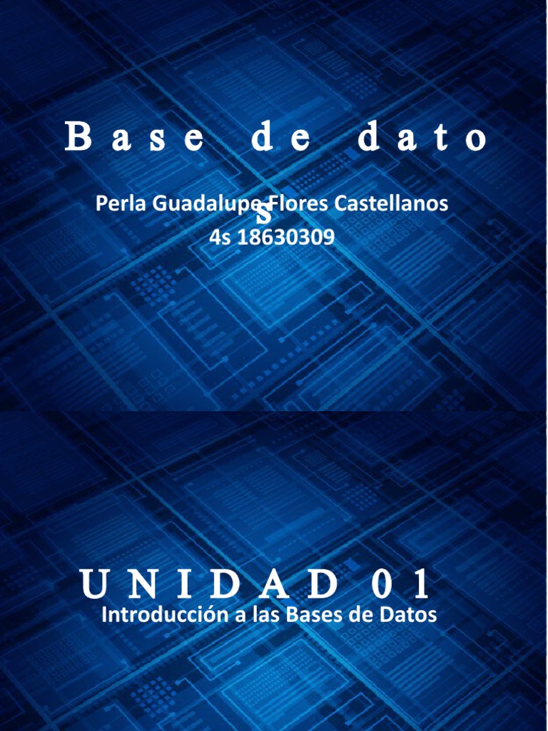 Introducción a las Bases de Datos | PDF | Bases de datos | Base de ...