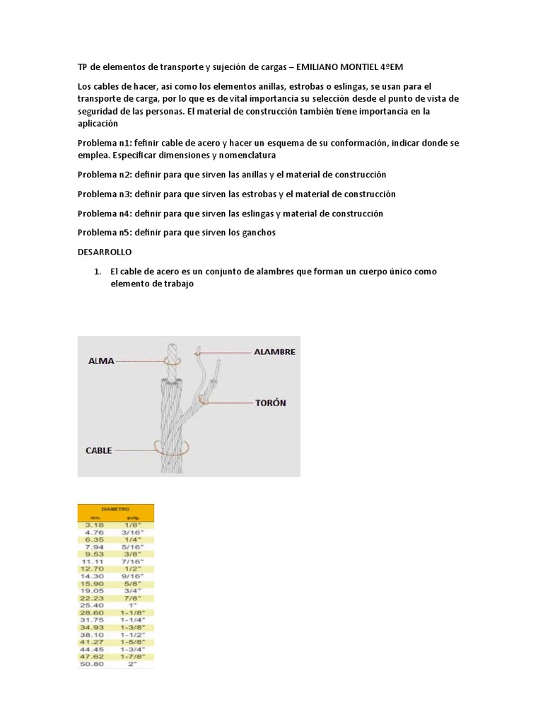 Elementos de Transporte de Cargas | PDF
