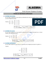 Ficha 22 Matrices Ii