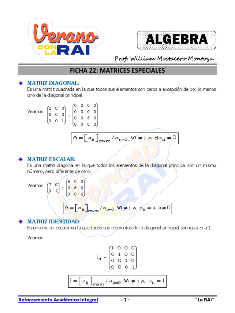 Ficha 22 Matrices Ii | PDF | Matriz (Matemáticas) | Funciones y mapeos