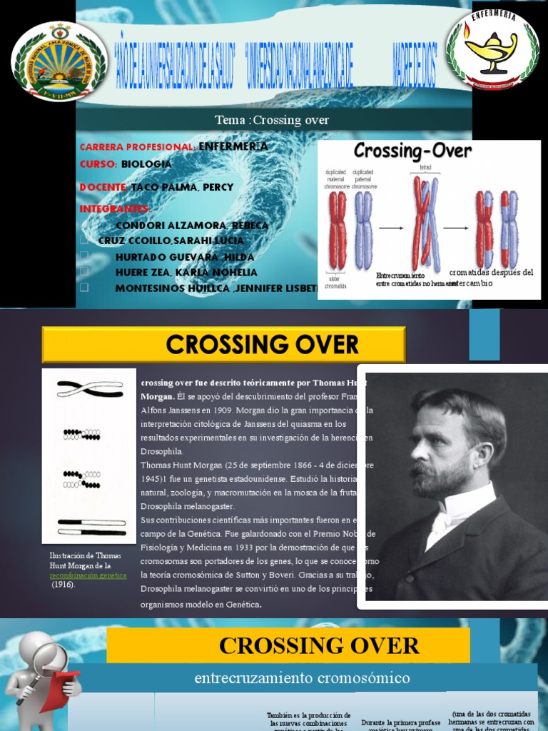3 Crosing Over | PDF | Recombinación genética | Gene
