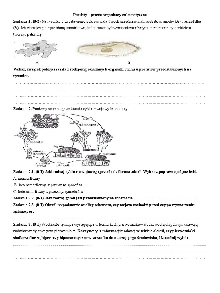 Protisty | PDF