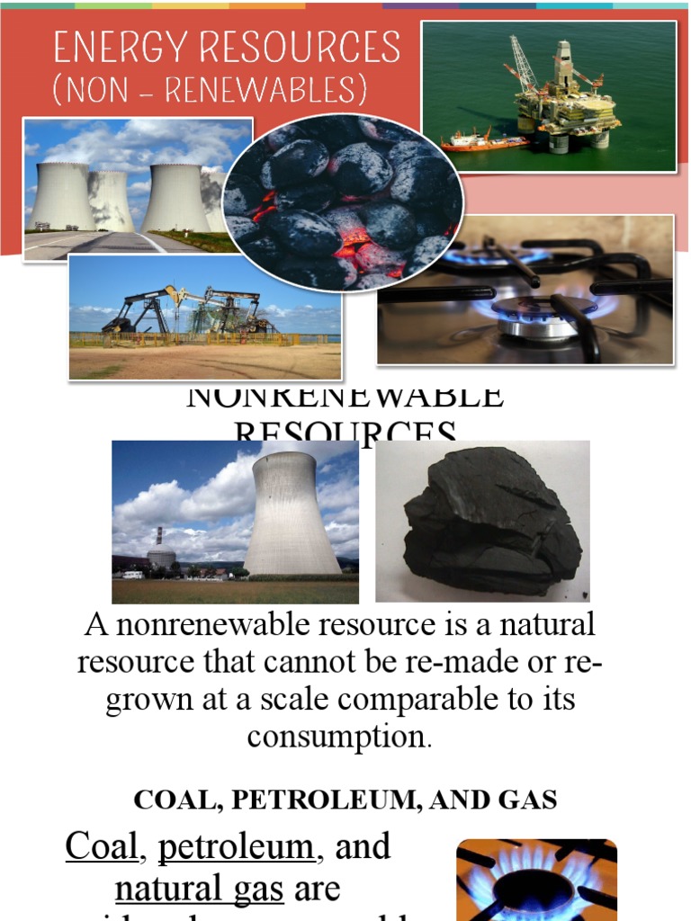 Fossil Fuels PDF Petroleum Coal