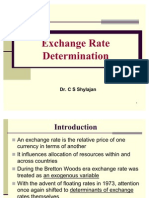 Theories of Foreign Exchange Determination