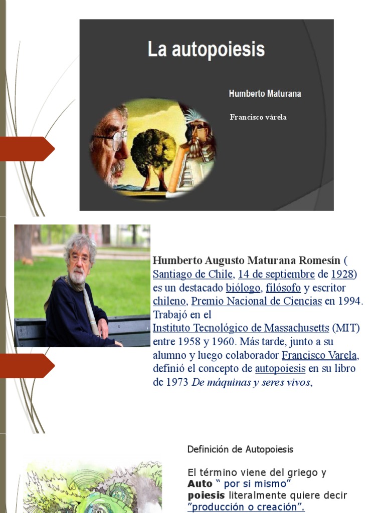 Definición de Autopoiesis | PDF