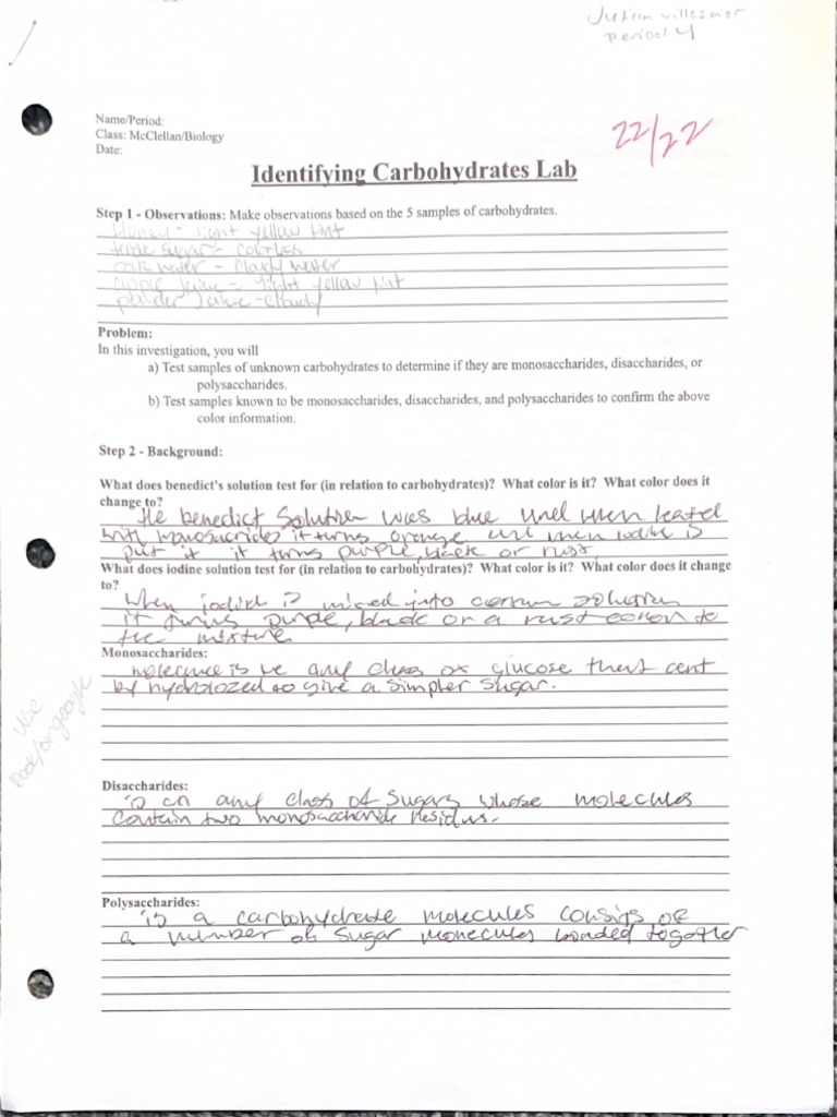 Identifying Carbohydrates Lab PDF