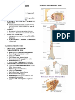 Skeletal System