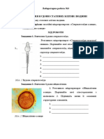 Лабораторна робота №3 нова