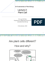 Lecture 2 - Plant Cell