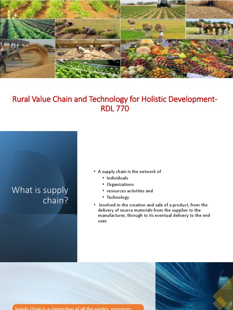 Rural Value Chain and Supply Strategies | PDF | Supply Chain | Value Chain
