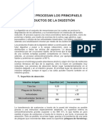 5.4 Vías Que Procesan Los Principales Productos de La Digestión - Rutas Metabólicas