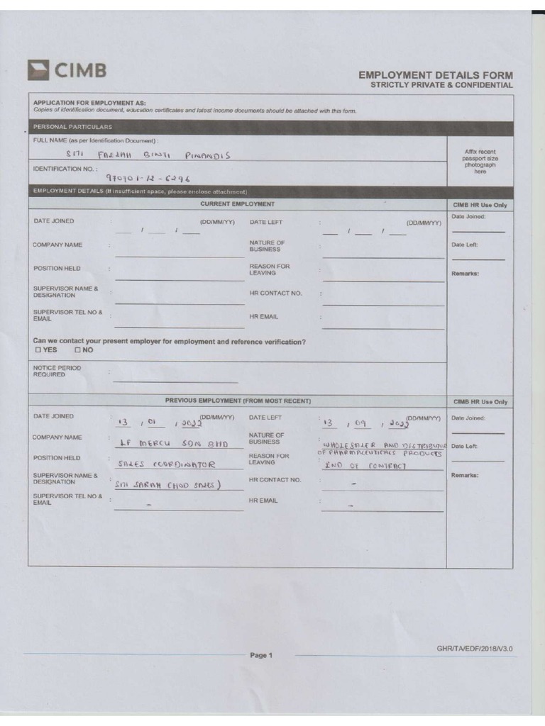 Employment Details Form PDF