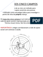 Mapa Dos Cinco Campos