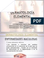DERMATOLOGIA ELEMENTAL CLASE 2